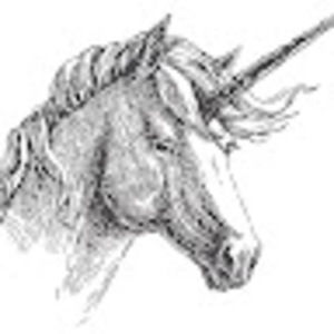 Meet your Posher, Loree